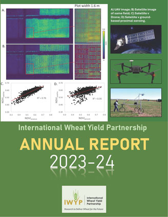 Annual Report